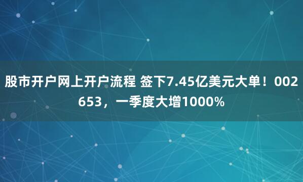 股市开户网上开户流程 签下7.45亿美元大单！002653，一季度大增1000%